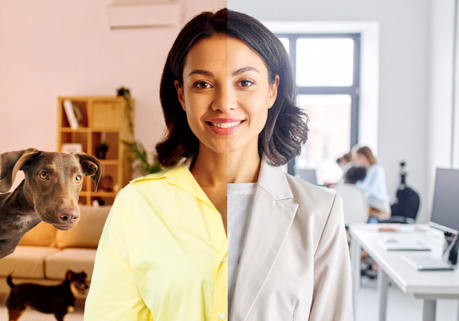 Image collage with dog and office, symbolizing work-life balance