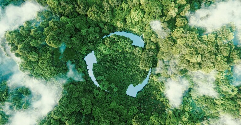 Green forest from above