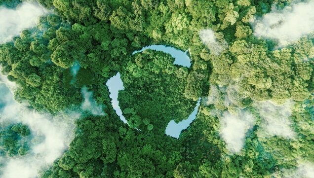 Green forest from above