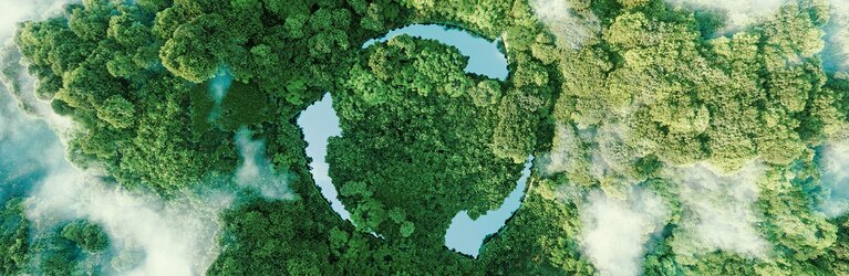 Green forest from above